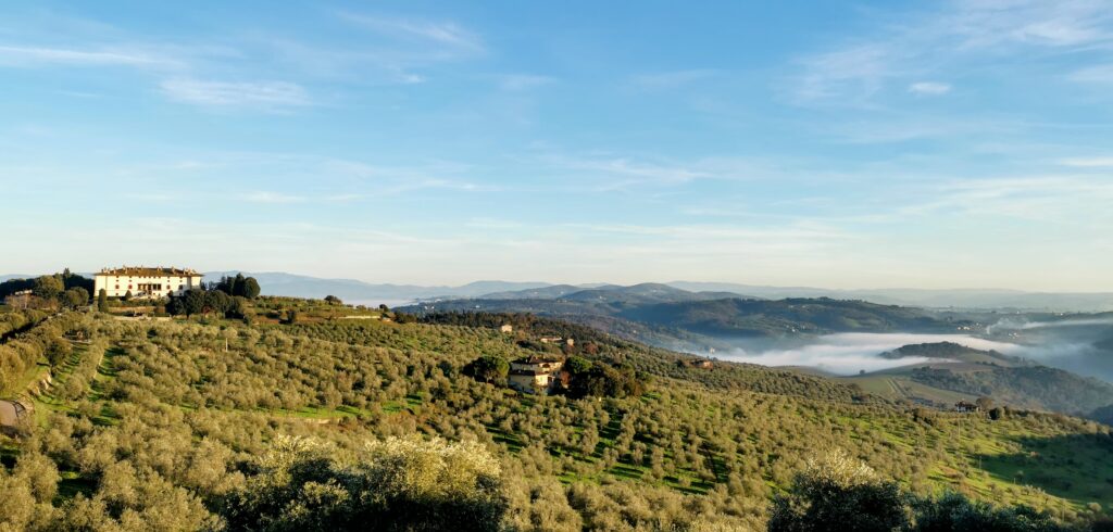 img 20211231 154907 edit